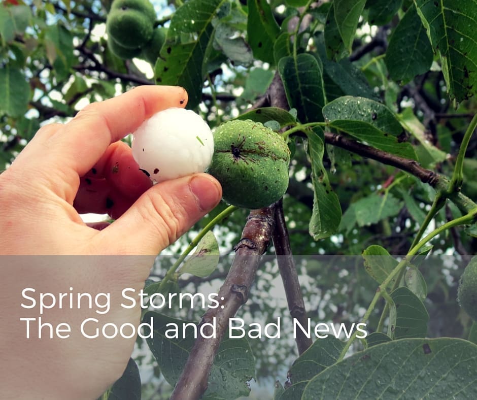 spring-storms